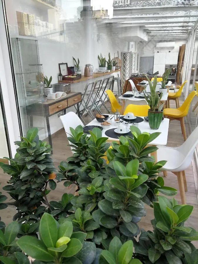 Il Giardino Dei Limoni Bed & Breakfast Aci Castello