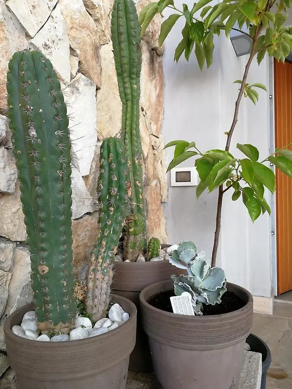 Il Giardino Dei Limoni Bed and Breakfast Aci Castello Bed & Breakfast